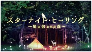 スターナイト・ヒーリング～星に包まれた森～