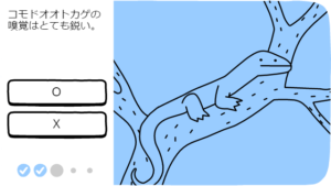 コモド国立公園37周年 (9)