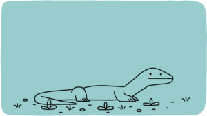 コモド国立公園37周年 (6)