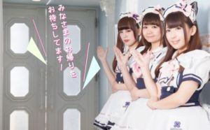 秋葉原シャングリラ計画（仮）