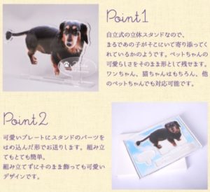 姿かたちあの頃のまま:ペットメモリアルスタンド