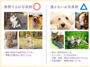 姿かたちあの頃のまま:ペットメモリアルスタンド