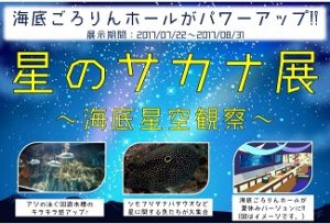伊勢夫婦岩ふれあい水族館　納涼シーパラダイス
