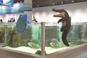 FUCHICO on the NIFREL