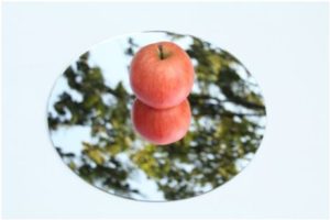 鈴木康広　始まりの庭