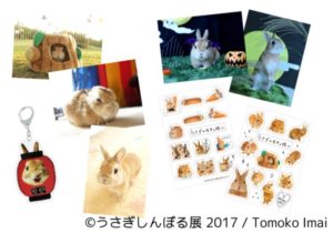 【Art】うさぎの合同写真＆物販展「うさぎしんぼる展 2017」