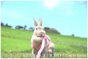 【Art】うさぎの合同写真＆物販展「うさぎしんぼる展 2017」