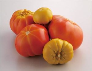 特別展　驚異の超絶技巧！―明治工芸から現代アートへ―