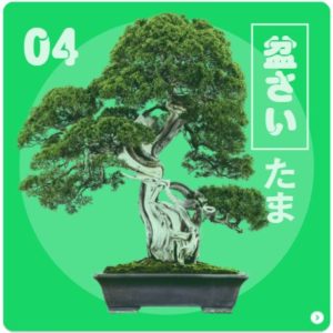 タサいたま