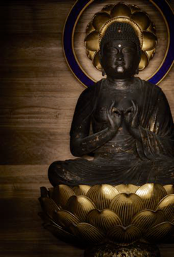 眠れる慈悲 ― 21世紀の仏教を考える 　僕たちの視線、私たちの視界