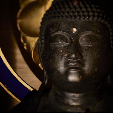 眠れる慈悲 ― 21世紀の仏教を考える 　僕たちの視線、私たちの視界