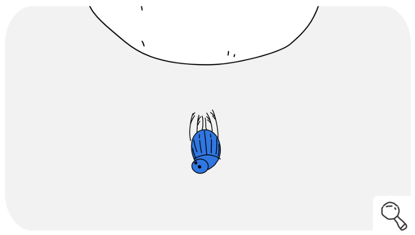 平昌オリンピック