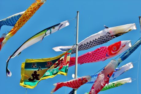 東京タワー恒例「端午の節句」特別企画