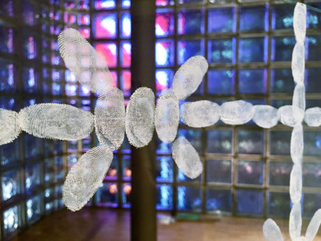 「あなたの存在に対する形容詞」ミルチャ・カントル展