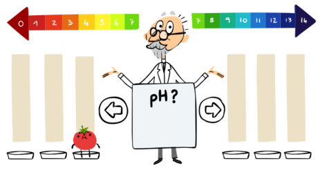 ソレン・ソーレンセンを称えて (17)