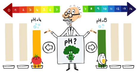 ソレン・ソーレンセンを称えて (13)