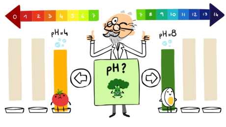 ソレン・ソーレンセンを称えて (12)