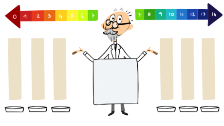 ソレン・ソーレンセンを称えて (20)