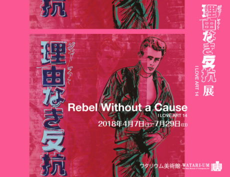 理由なき反抗展