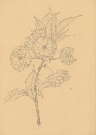 江上茂雄：風景日記　diary/dialogue with landscapes