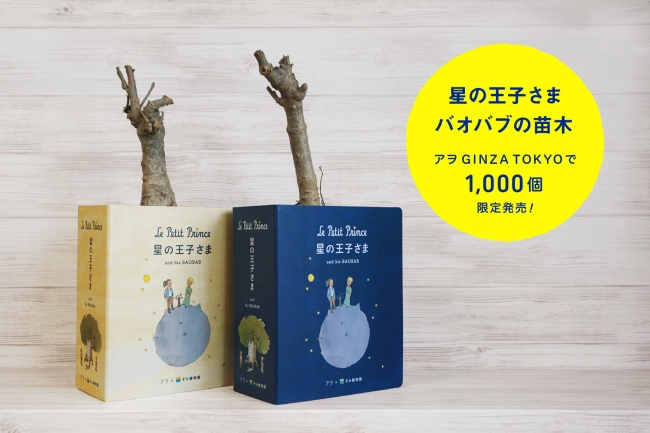 「星の王子さま」 バオバブの苗木