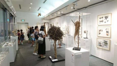 鈴木まもる・絵本原画と鳥の巣コレクション展『鳥の巣がおしえてくれること』