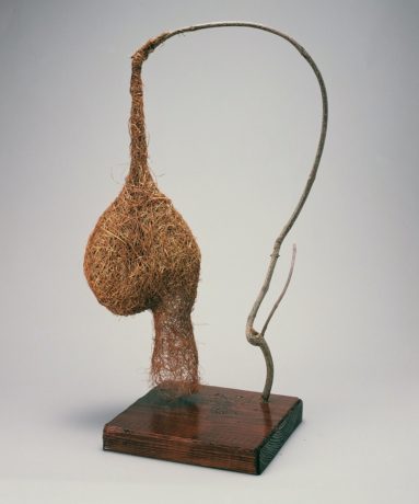 鈴木まもる・絵本原画と鳥の巣コレクション展『鳥の巣がおしえてくれること』