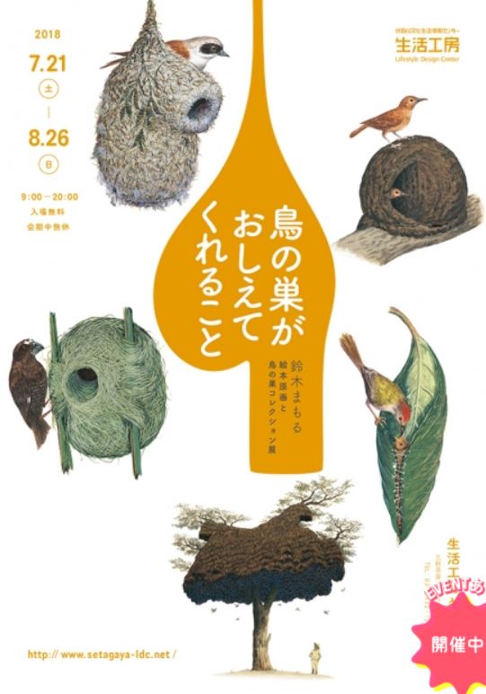 鈴木まもる・絵本原画と鳥の巣コレクション展『鳥の巣がおしえてくれること』
