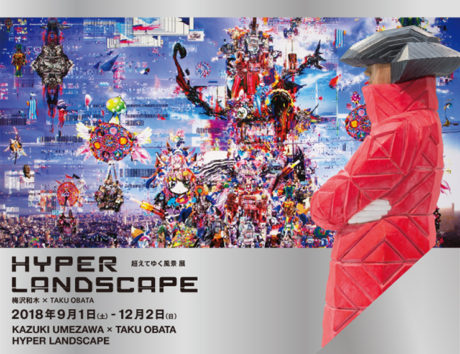 ハイパー ランドスケープ　越えてゆく風景展