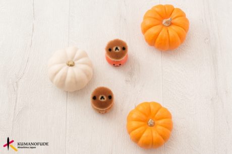 リラックマクマノフデ