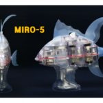 MIRO-5