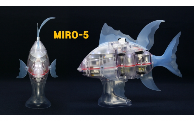 MIRO-5