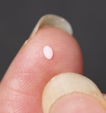 ミニチュアフラワーレッスン