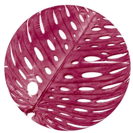 メガロマニア植物学