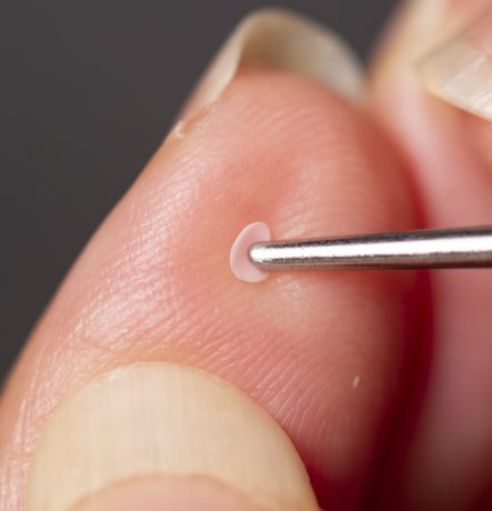 ミニチュアフラワーレッスン