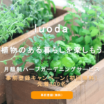 月額制のガーデニングサービス「luoda」