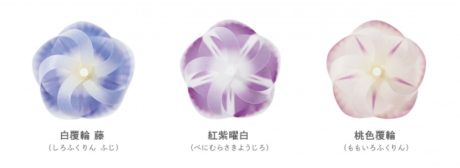 カゼグルマ 朝顔