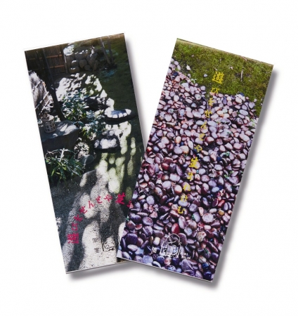 樹木希林 遊びをせんとや生まれけむ展・完全版