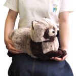 ひざたぬき