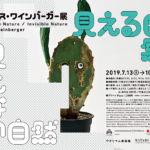 ロイス・ワインバーガー展 見える自然 見えない自然
