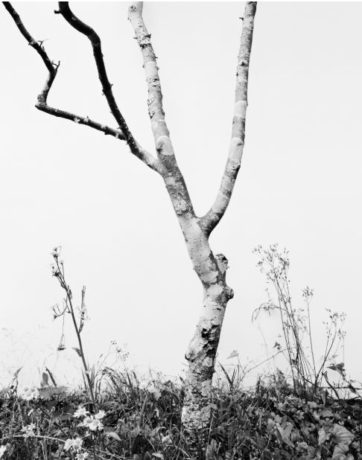 「写真新世紀」2019年度［第42回公募］受賞作品展