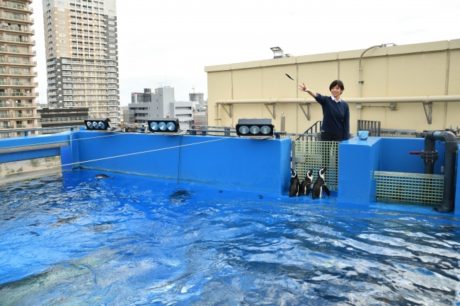 サンシャイン水族館2020年オリジナル福袋