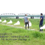 MOMATコレクション