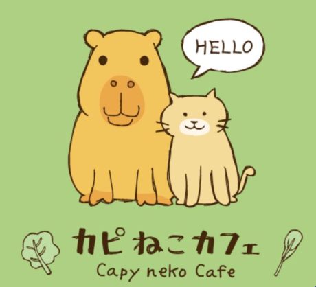 カピねこカフェ