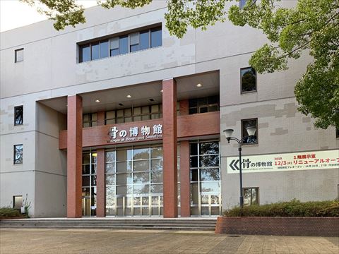 骨の博物館