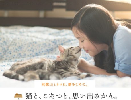 猫と、こたつと、思い出みかん