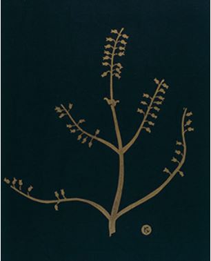 山田耕筰と美術