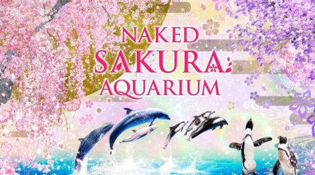 SAKURA AQUARIUM