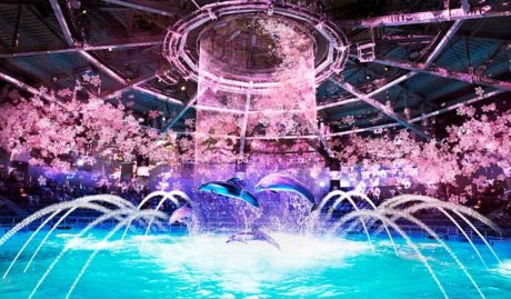 SAKURA AQUARIUM