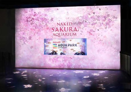 SAKURA AQUARIUM